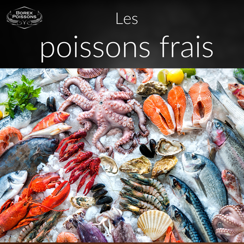 Poissons frais
