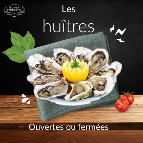 Huitres