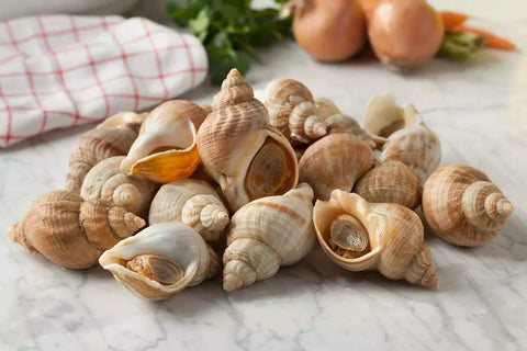 Bulots cuits frais prêts à déguster sur table en marbre avec oignons et herbes en arrière-plan