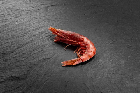 Gambas cuite bio entière avec carapace sur fond noir pour apéro